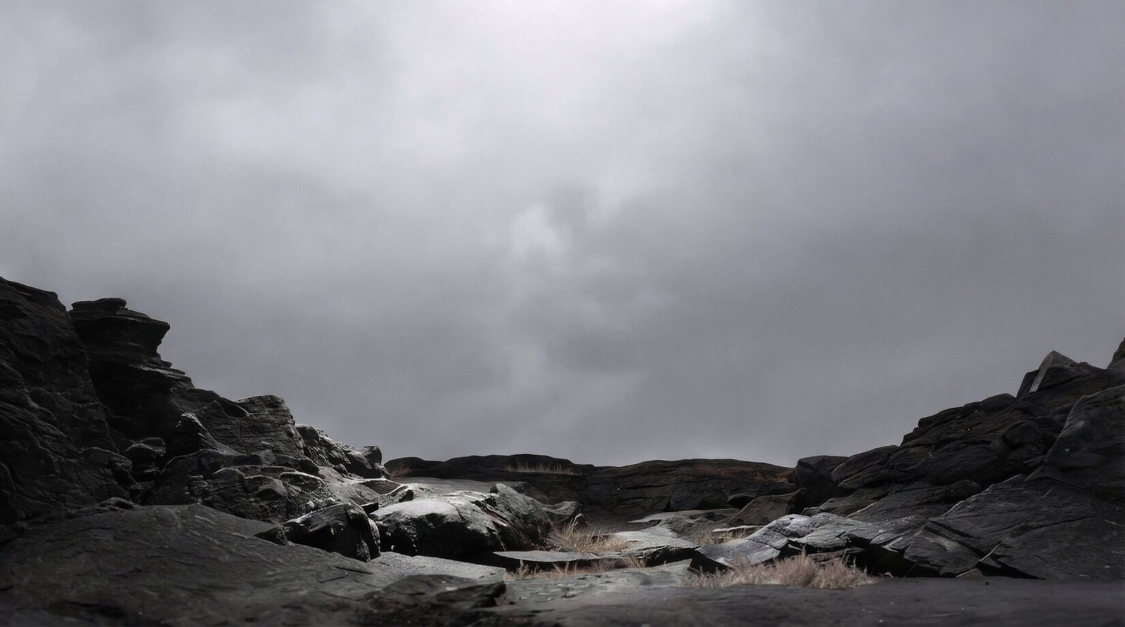 Dark landscape